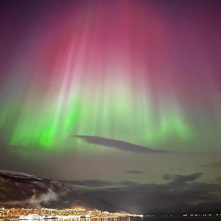 Rom Sentralt I Tromso Apartment Exterior foto