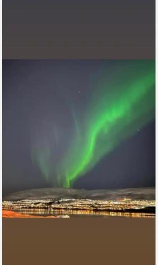 Rom Sentralt I Tromso Apartment Exterior foto