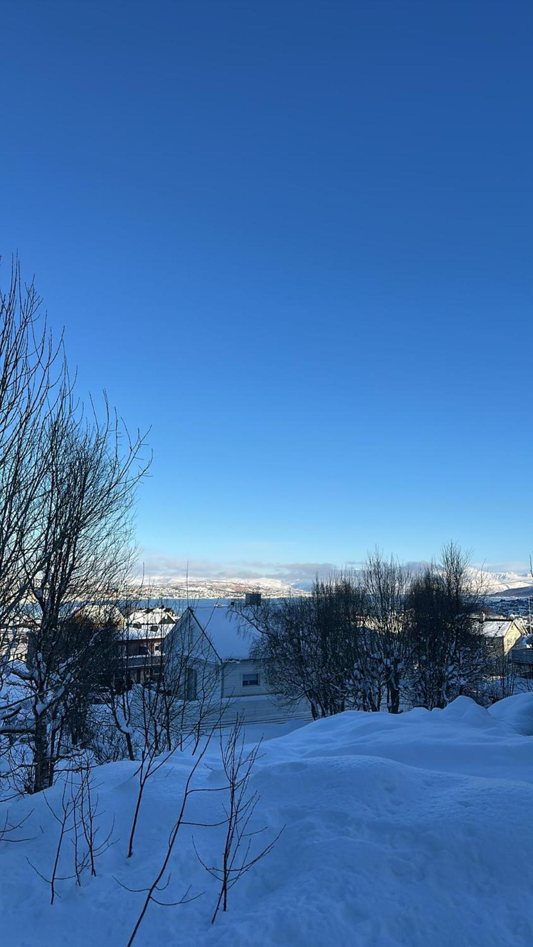 Rom Sentralt I Tromso Apartment Exterior foto